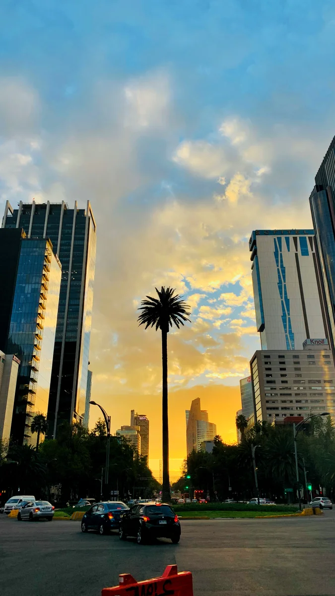 Geometría urbana capturada desde el transporte público.